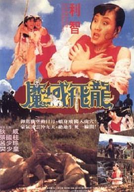 《美丽的梦》海报